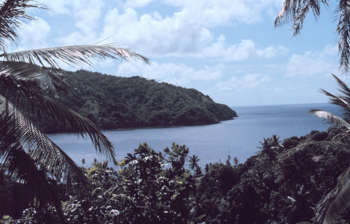 picture of a beach